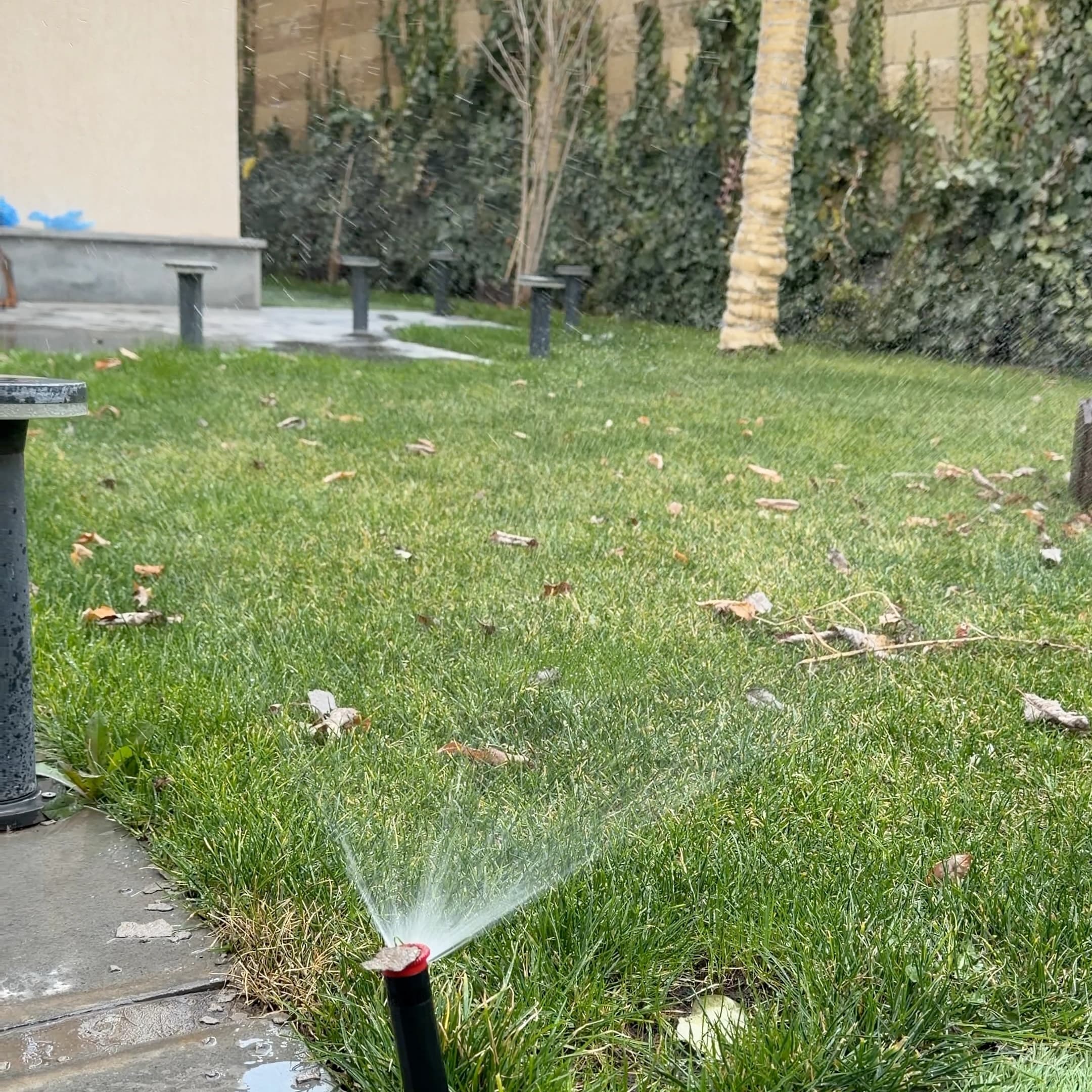 Garden House image 12