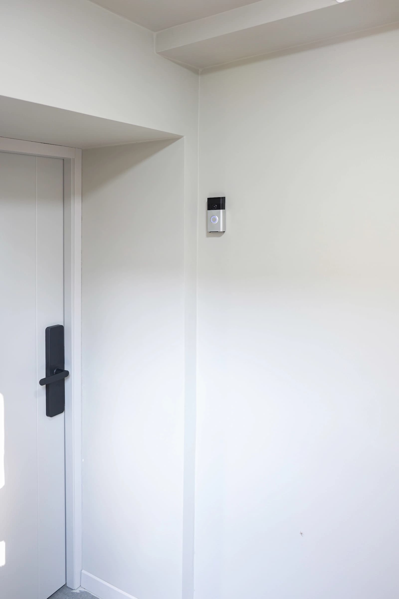 Մարշալլ image 10