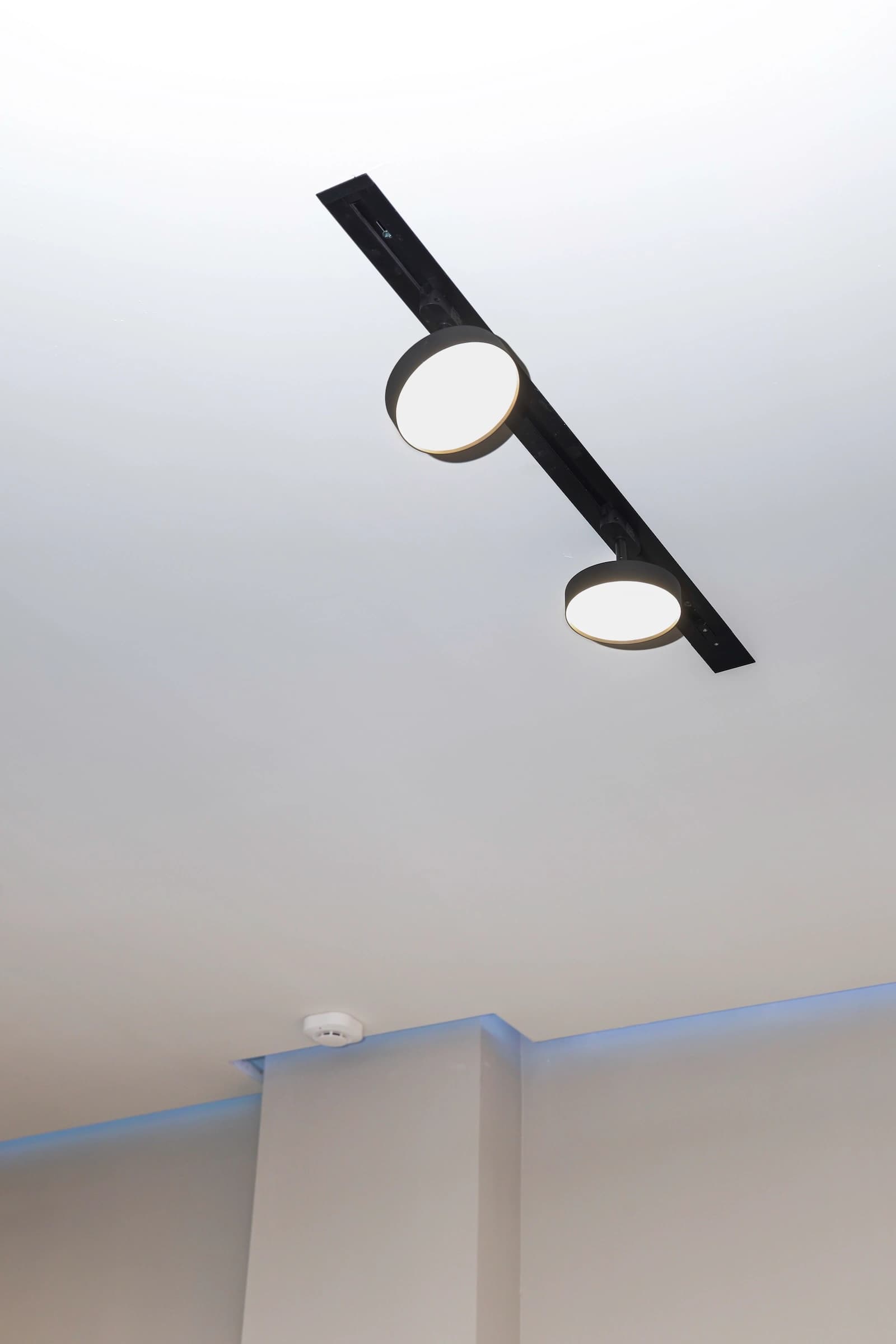 Մարշալլ image 11