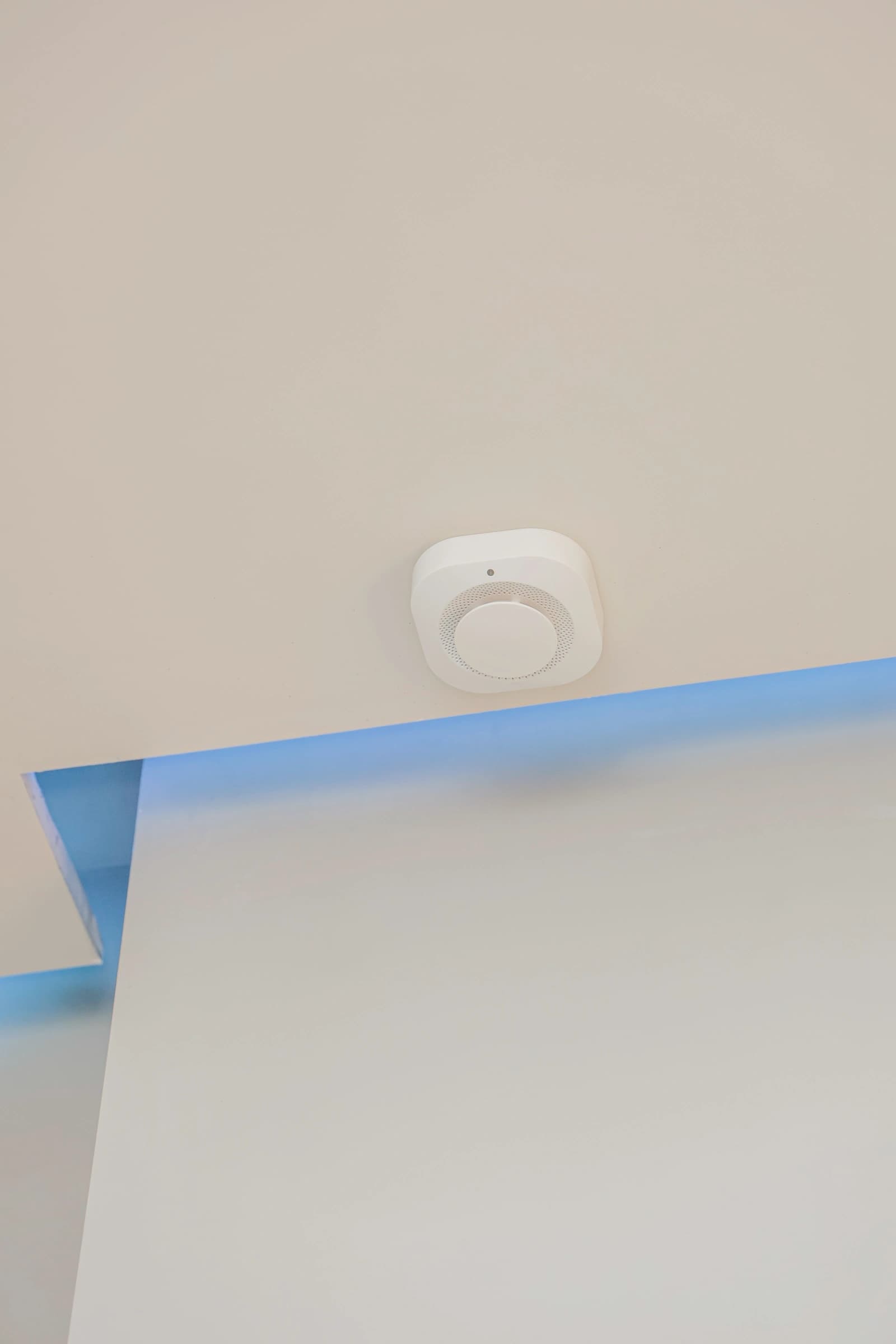 Մարշալլ image 14