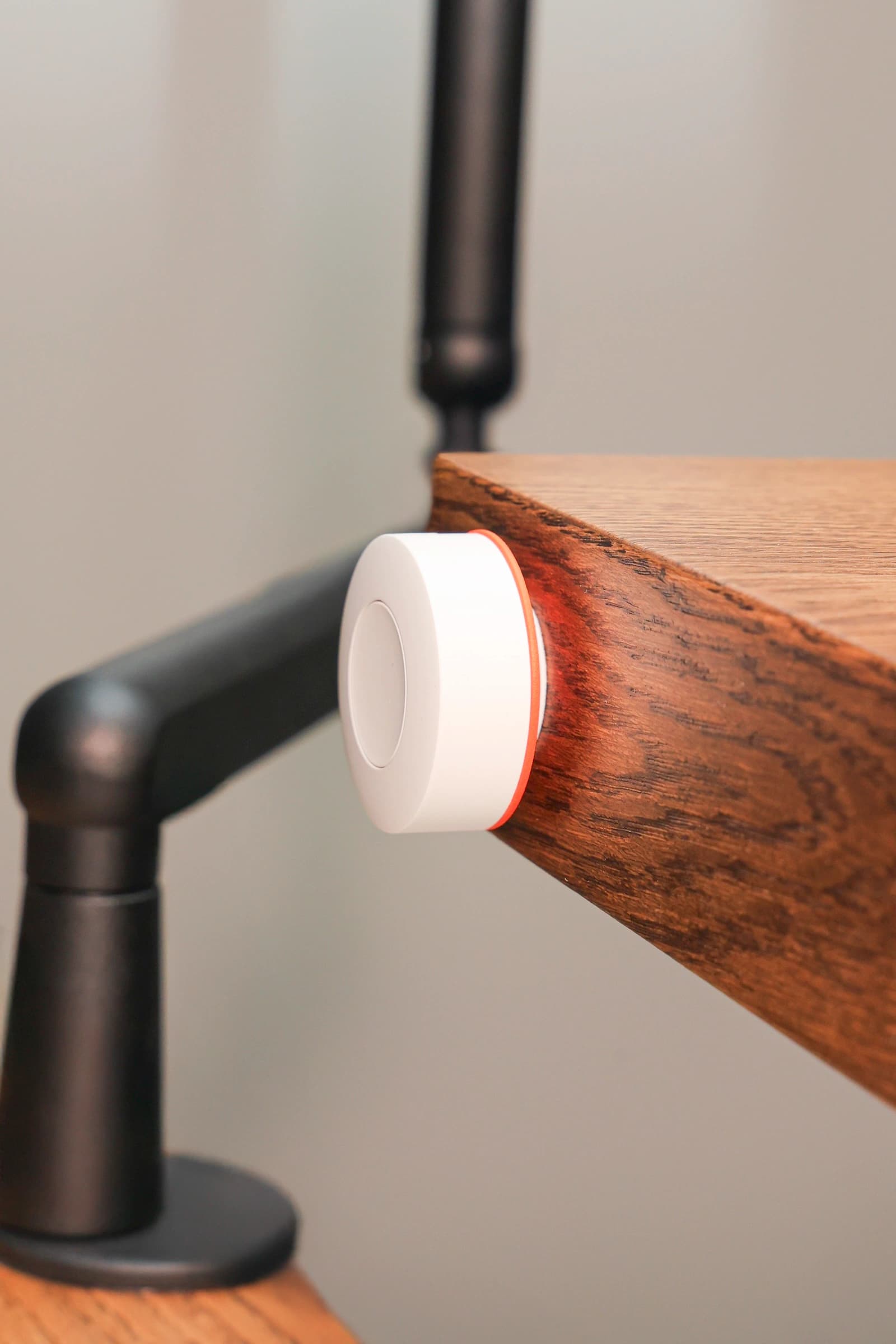 Մարշալլ image 18