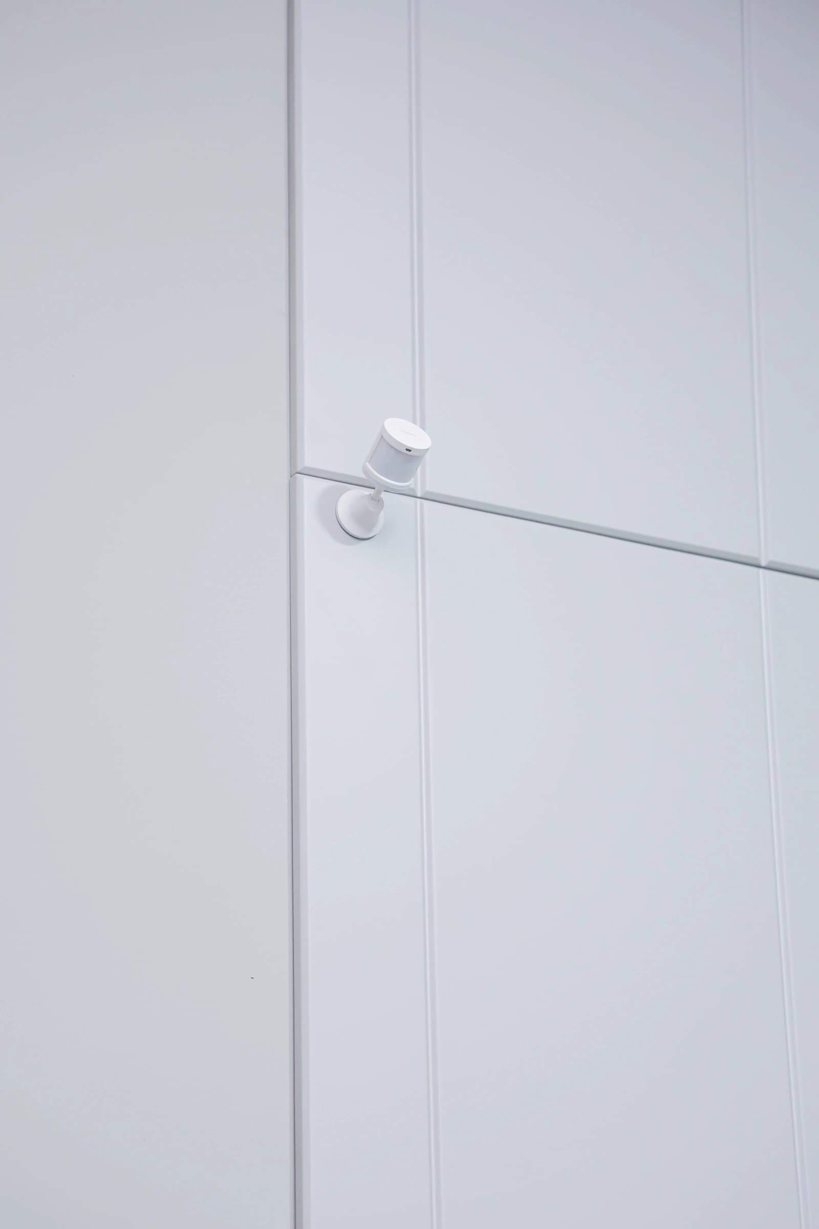 Մարշալլ image 3