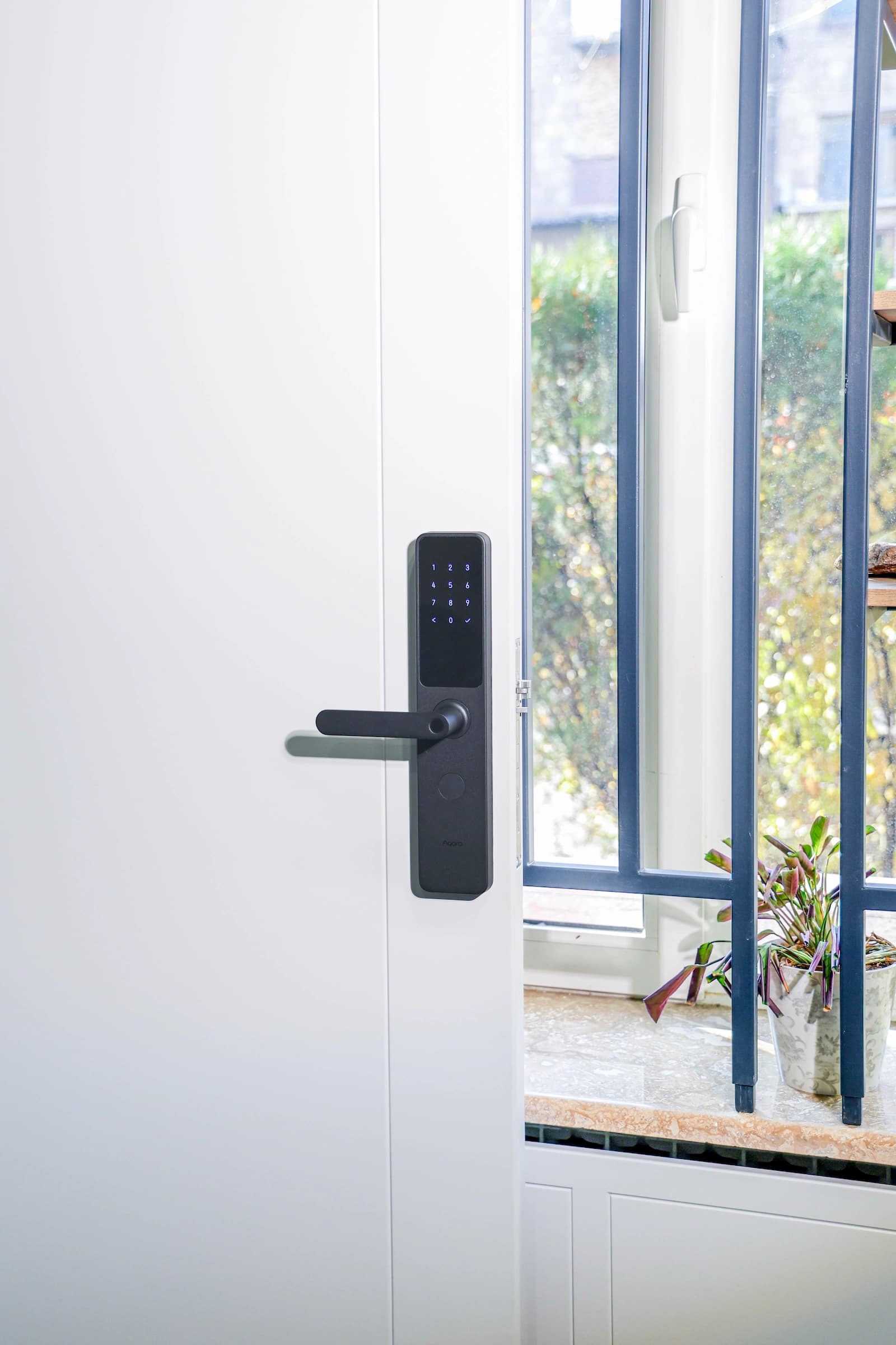 Մարշալլ image 4