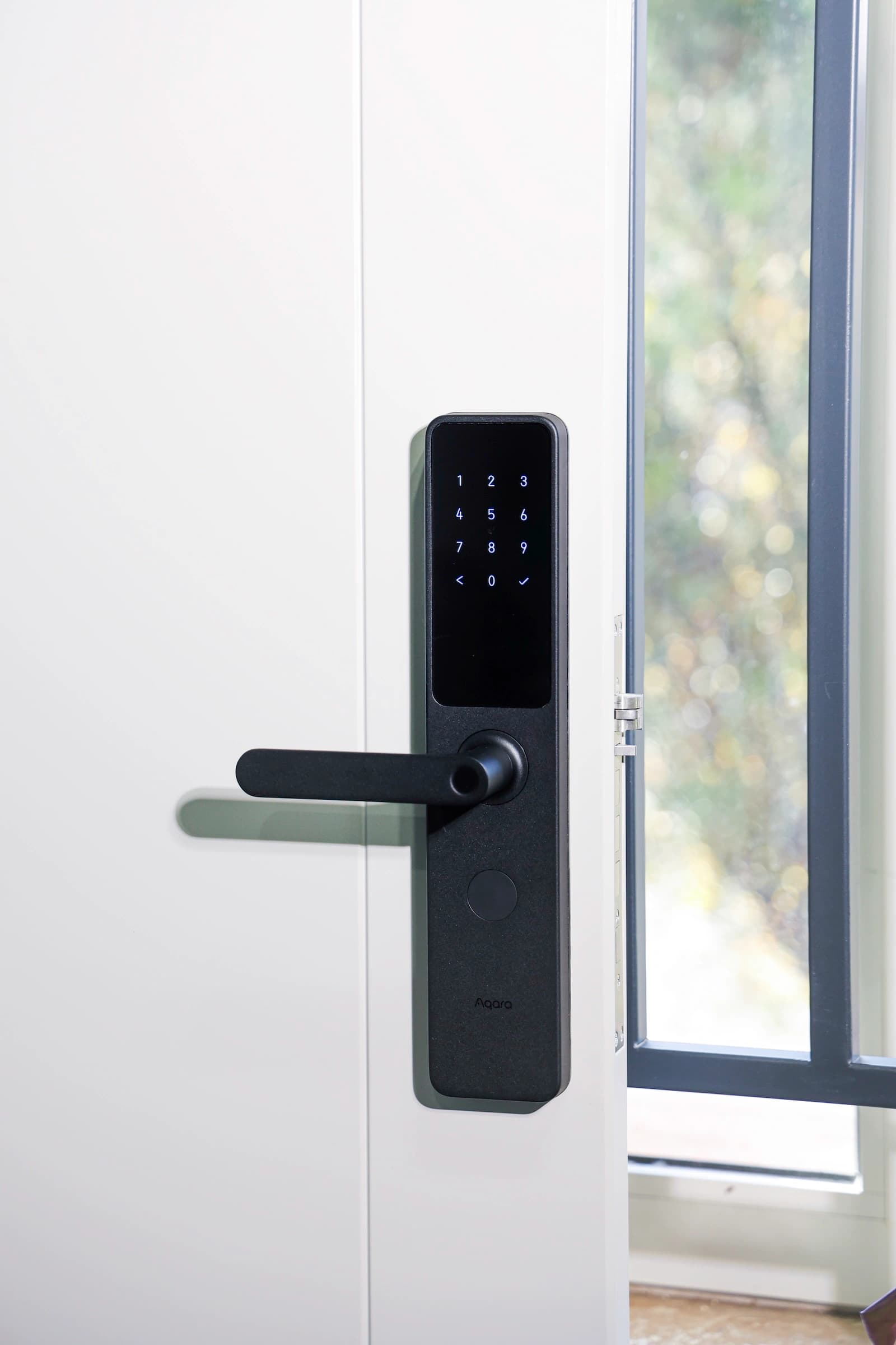 Մարշալլ image 5