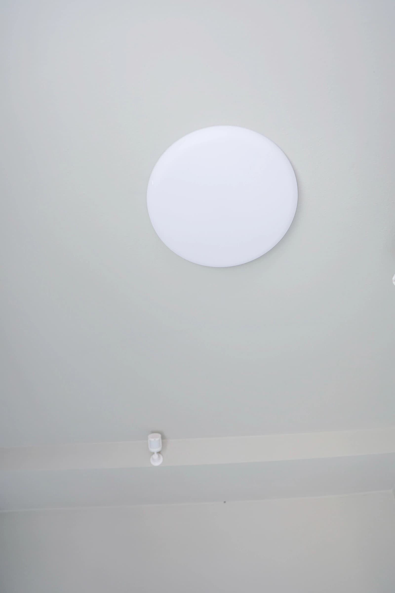 Մարշալլ image 6