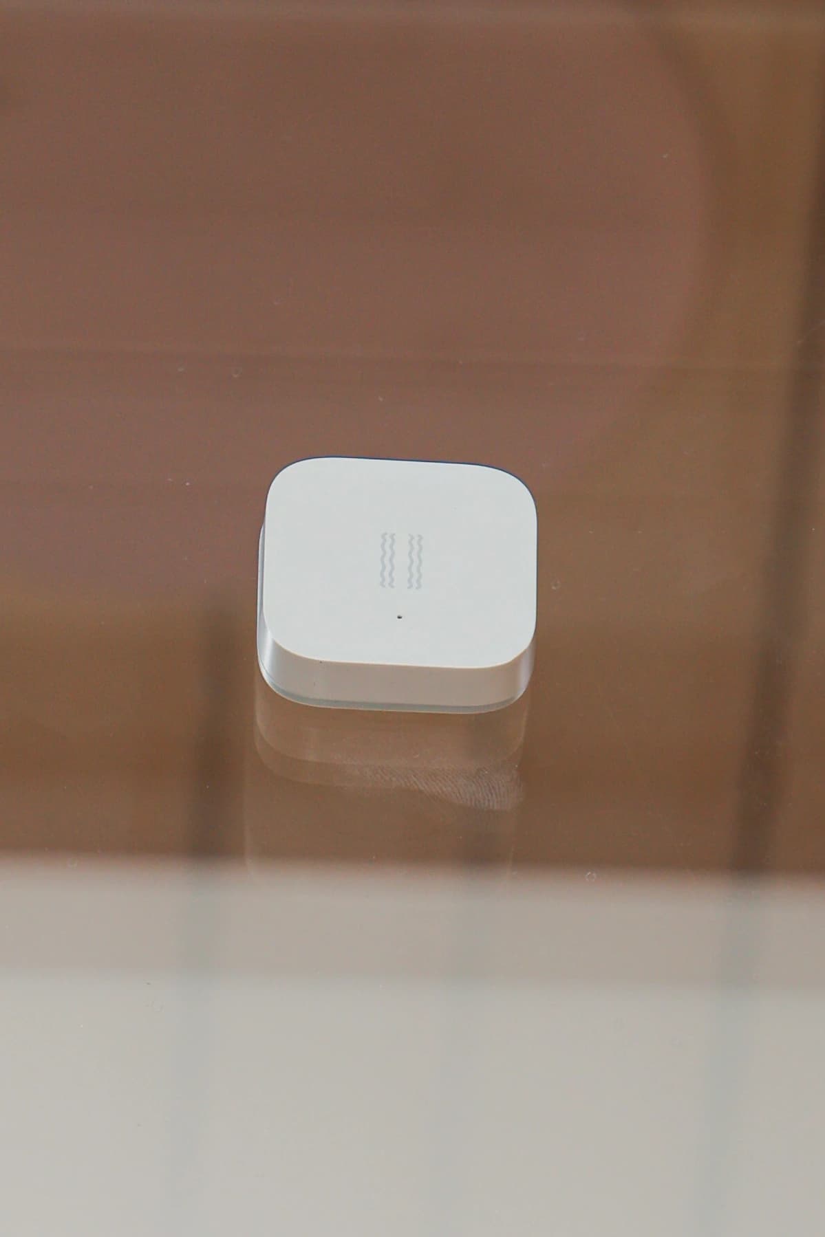 Մարշալլ image 8